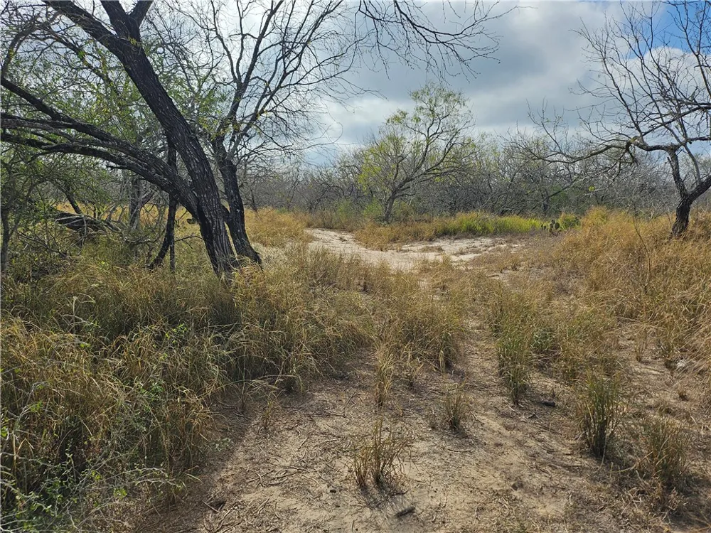 23354 County Road 1038 Mathis, TX 78368