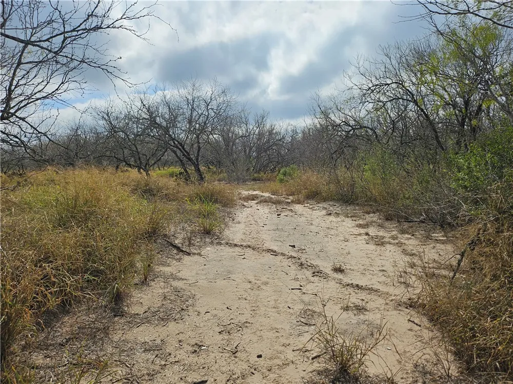 23354 County Road 1038 Mathis, TX 78368