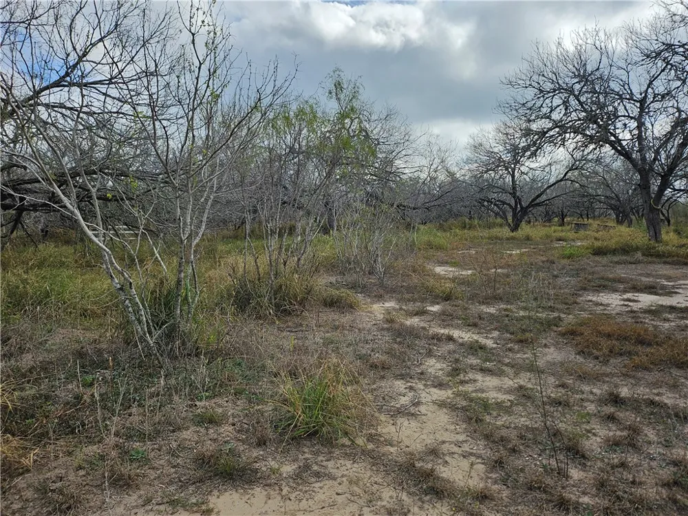 23354 County Road 1038 Mathis, TX 78368