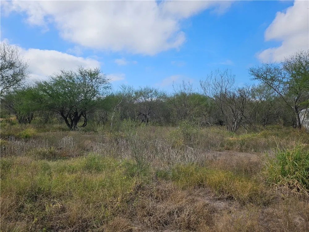 23354 County Road 1038 Mathis, TX 78368