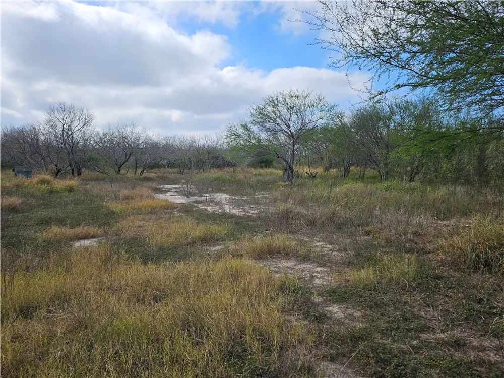 23354 County Road 1038 Mathis, TX 78368