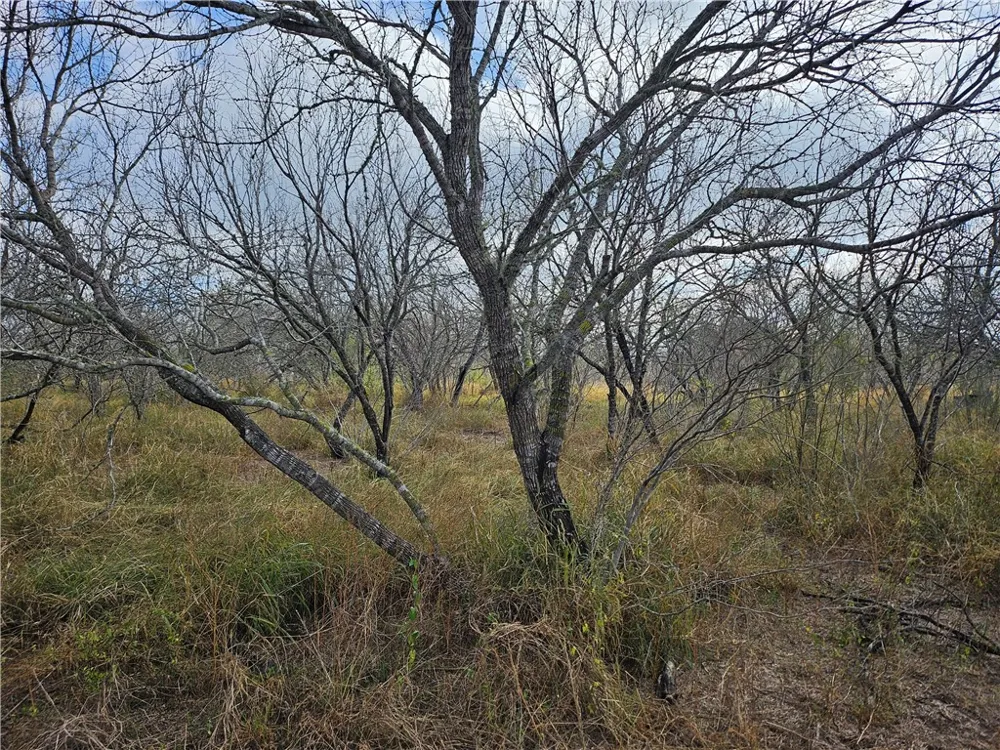 23354 County Road 1038 Mathis, TX 78368