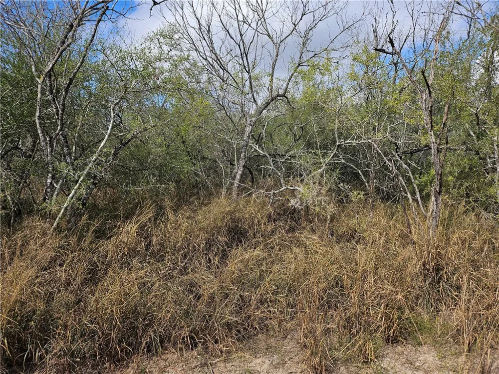 23354 County Road 1038 Mathis, TX 78368