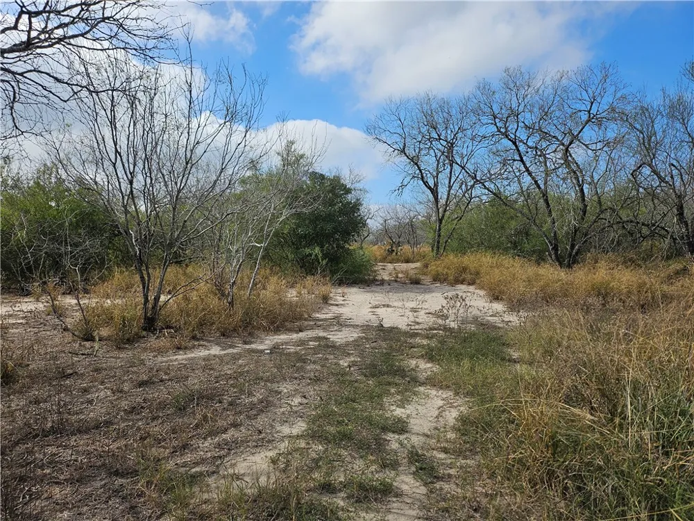 23354 County Road 1038 Mathis, TX 78368