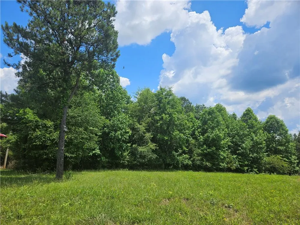 2 Young Loop Fairmount, GA 30139