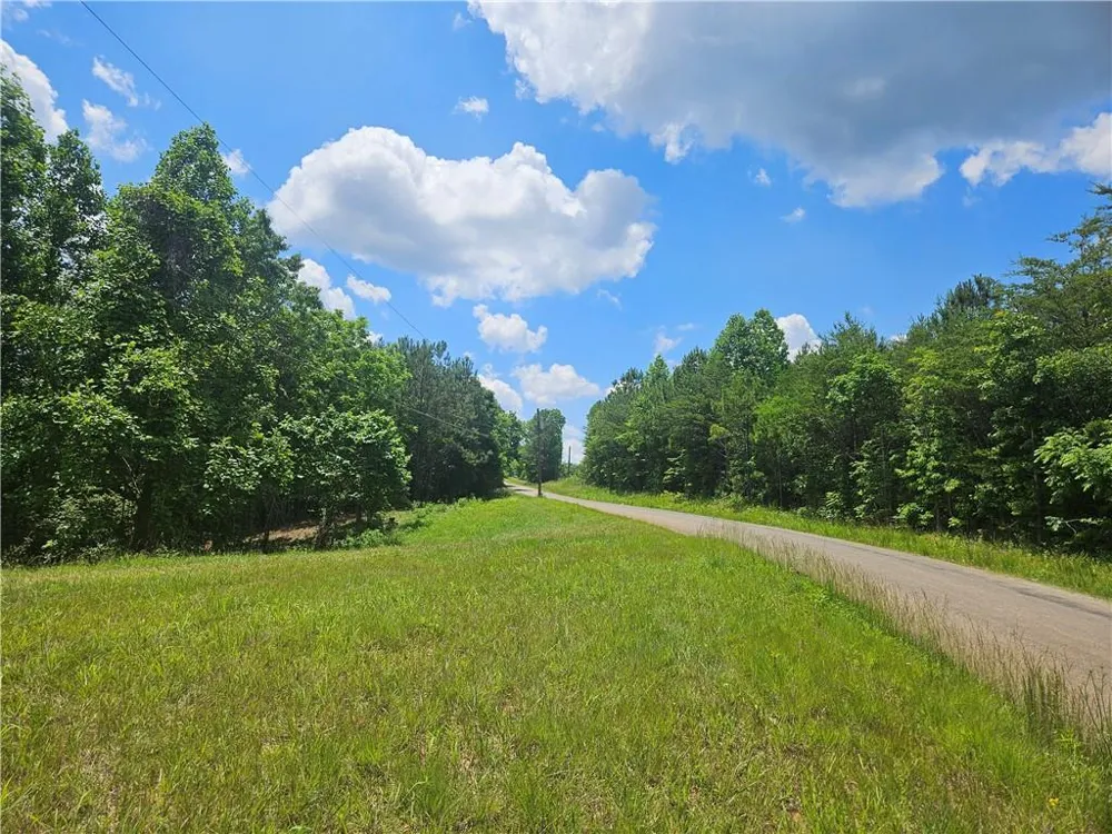 2 Young Loop Fairmount, GA 30139