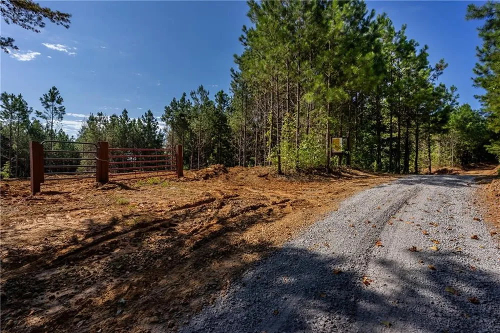 2 Young Loop Fairmount, GA 30139