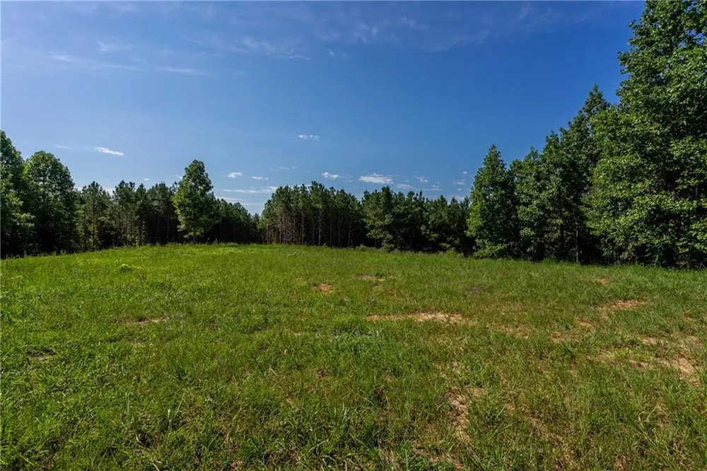 2 Young Loop Fairmount, GA 30139