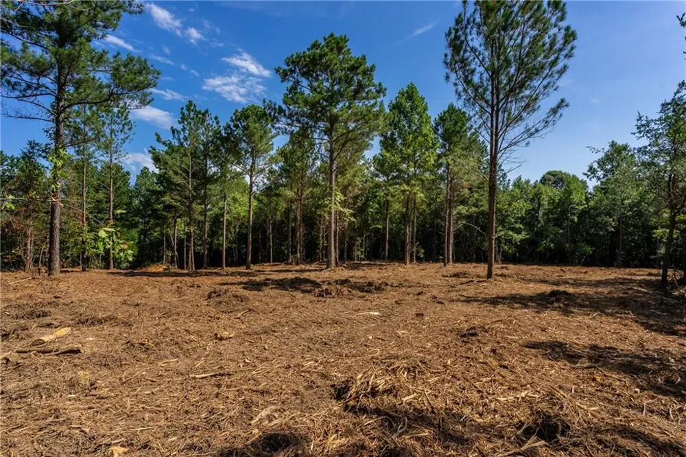 2 Young Loop Fairmount, GA 30139