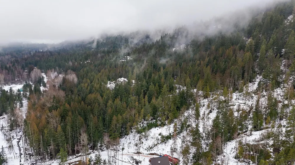 466 Rincon Drive Sandpoint, ID 83864