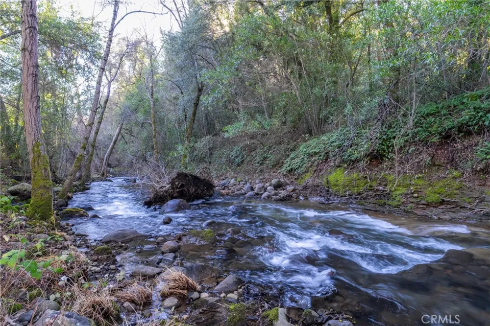 Crown Point Forest Ranch, CA 95942