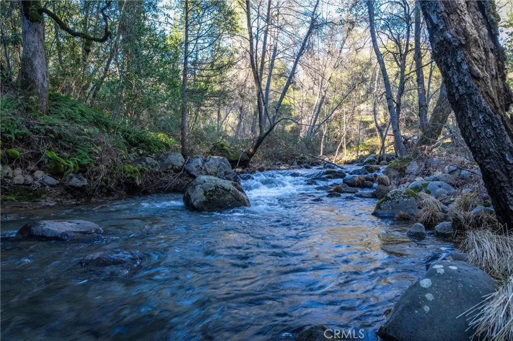 Crown Point Forest Ranch, CA 95942