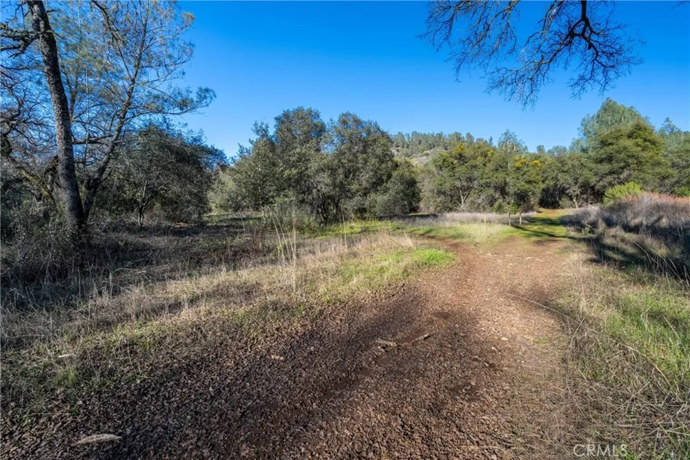 Crown Point Forest Ranch, CA 95942