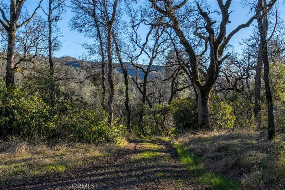 Crown Point Forest Ranch, CA 95942