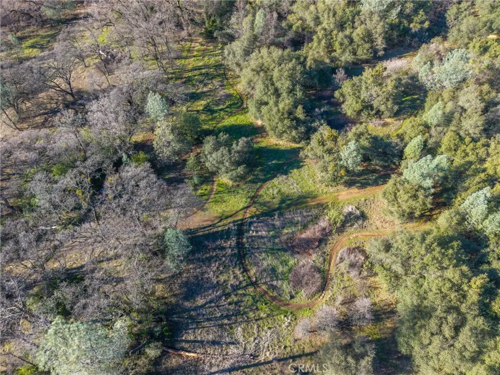 Crown Point Forest Ranch, CA 95942