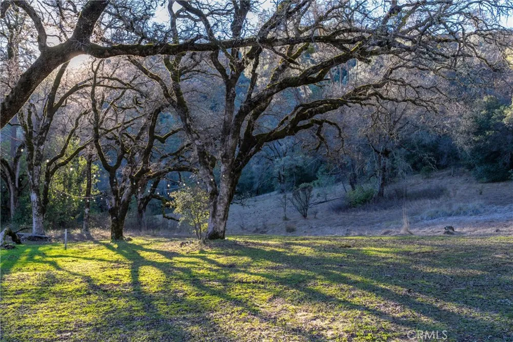 Crown Point Forest Ranch, CA 95942