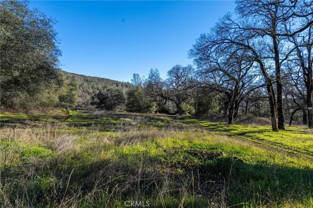 Crown Point Forest Ranch, CA 95942