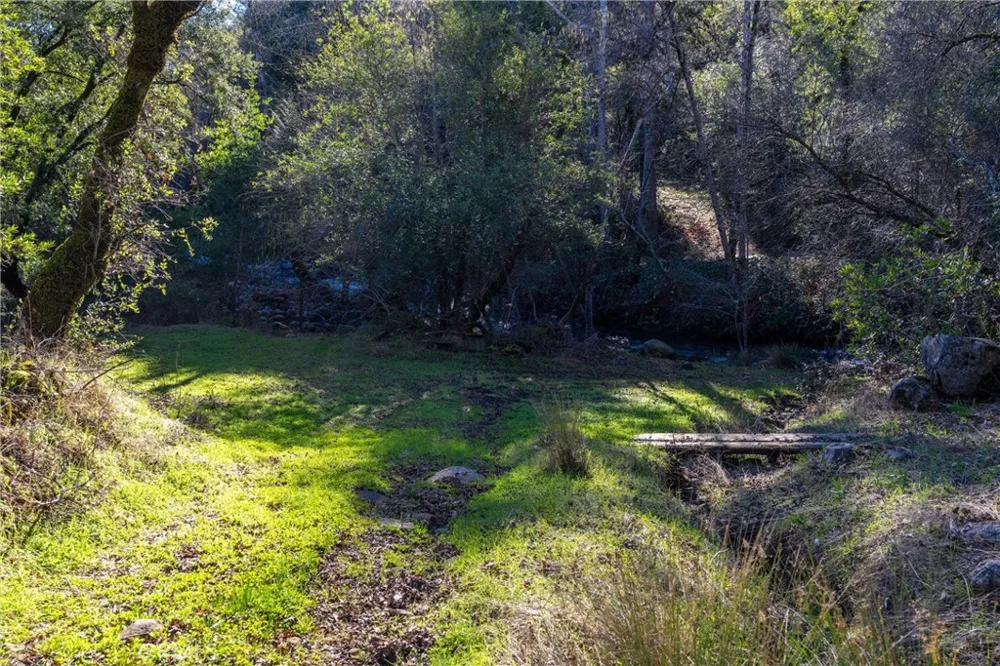Crown Point Forest Ranch, CA 95942