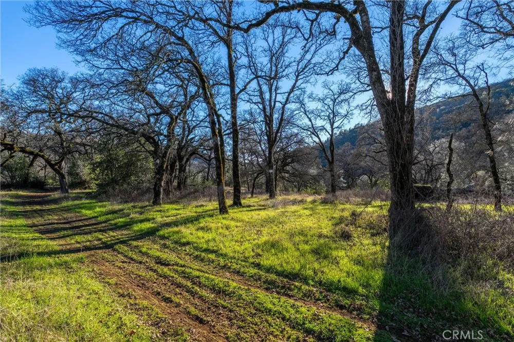 Crown Point Forest Ranch, CA 95942