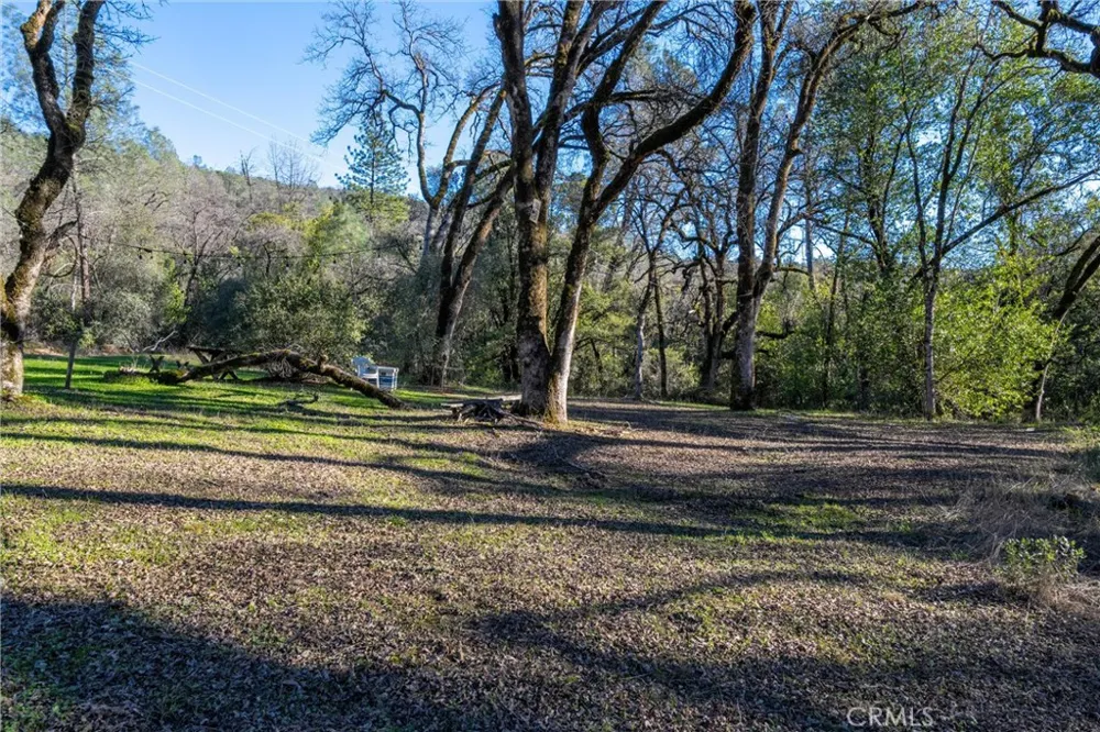 Crown Point Forest Ranch, CA 95942