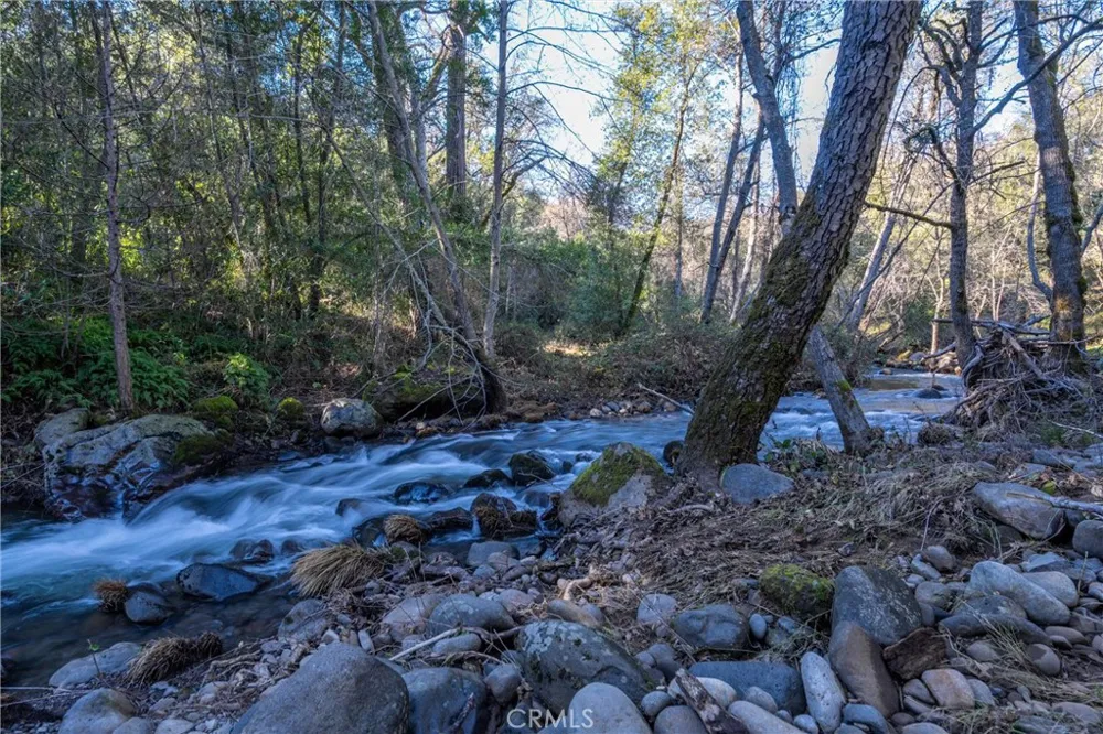 Crown Point Forest Ranch, CA 95942