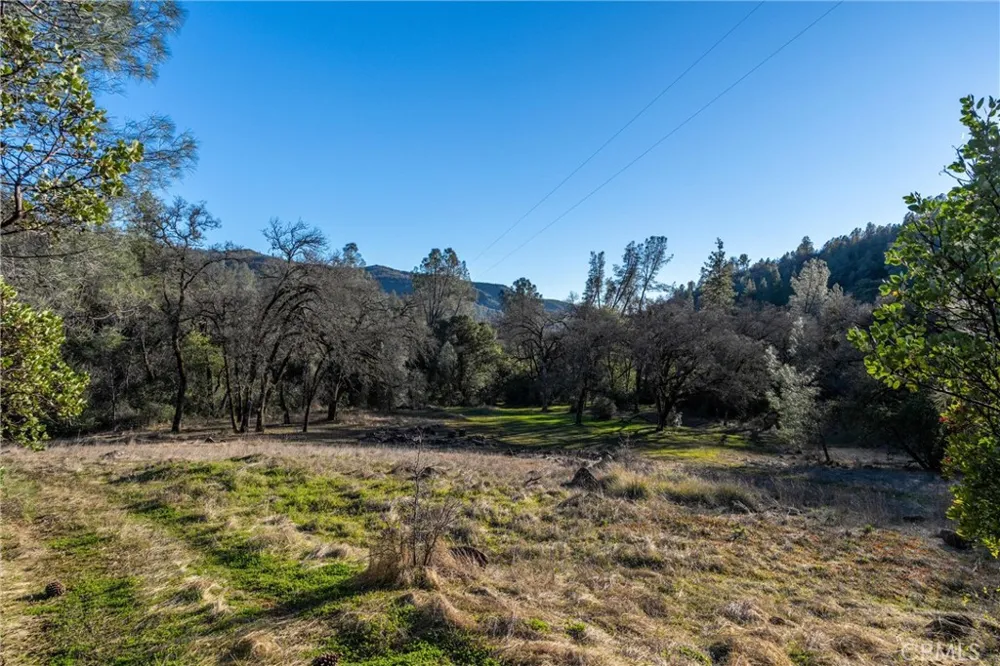 Crown Point Forest Ranch, CA 95942