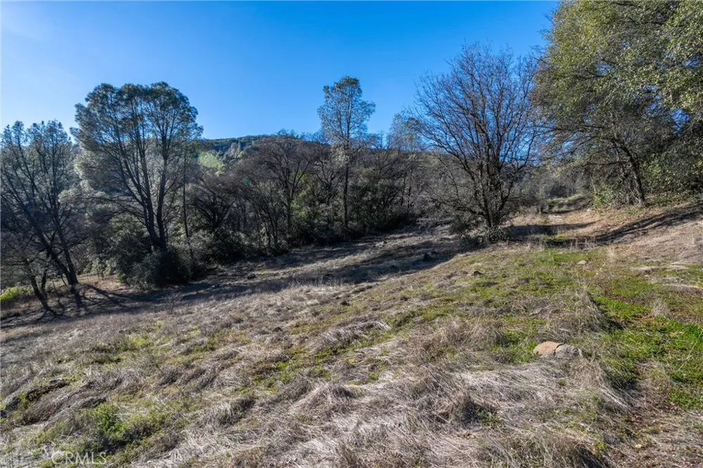 Crown Point Forest Ranch, CA 95942