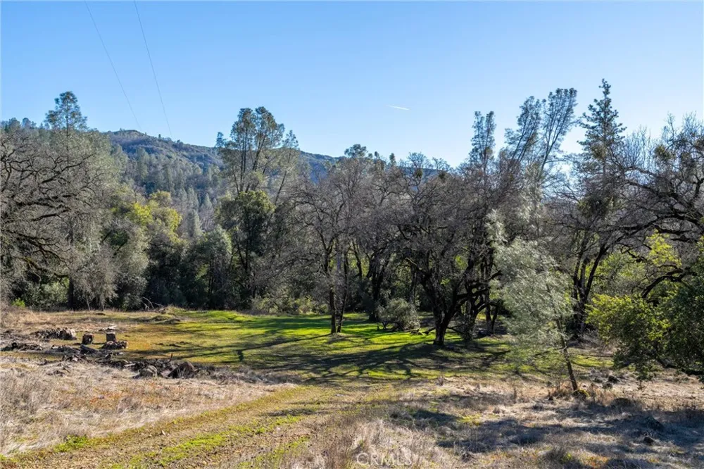 Crown Point Forest Ranch, CA 95942