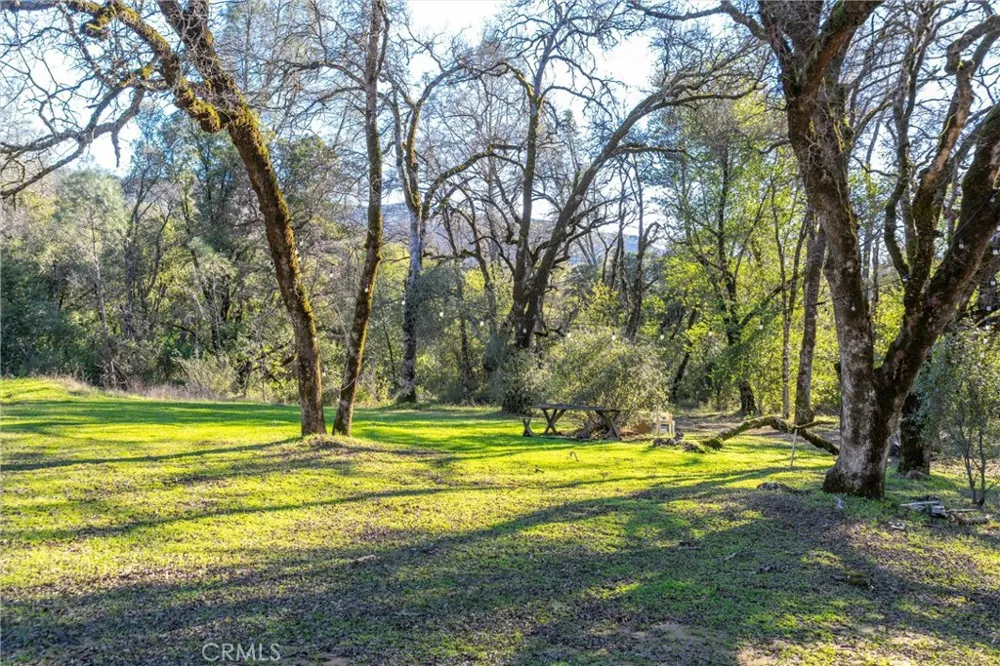 Crown Point Forest Ranch, CA 95942