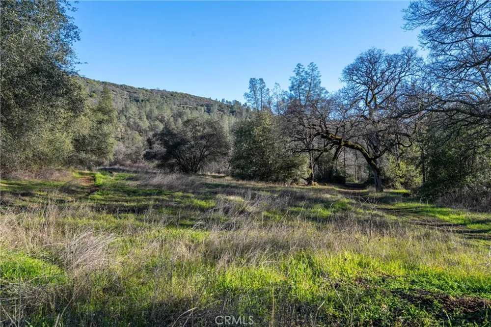 Crown Point Forest Ranch, CA 95942