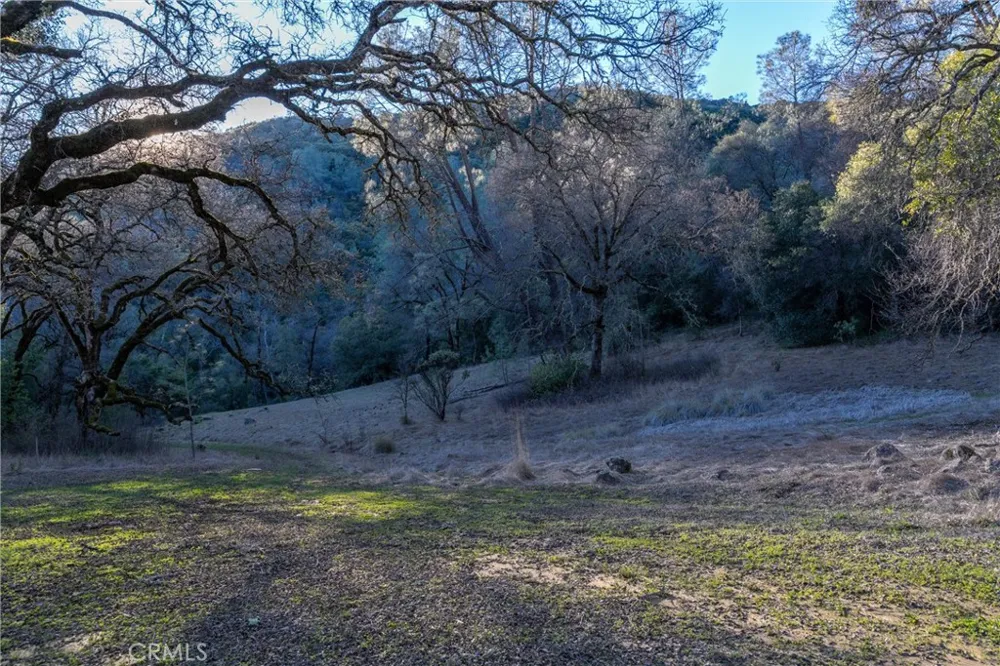Crown Point Forest Ranch, CA 95942