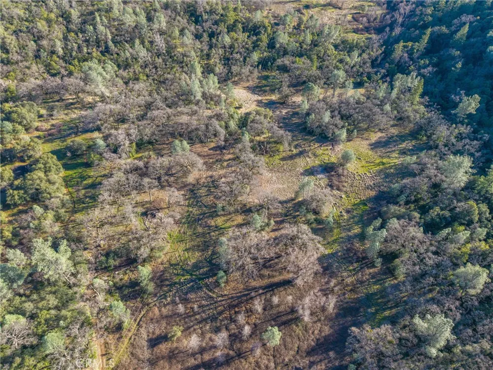 Crown Point Forest Ranch, CA 95942