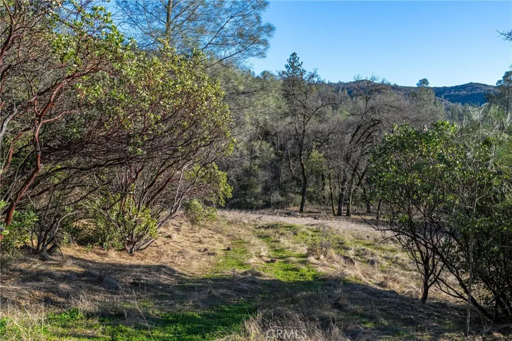 Crown Point Forest Ranch, CA 95942