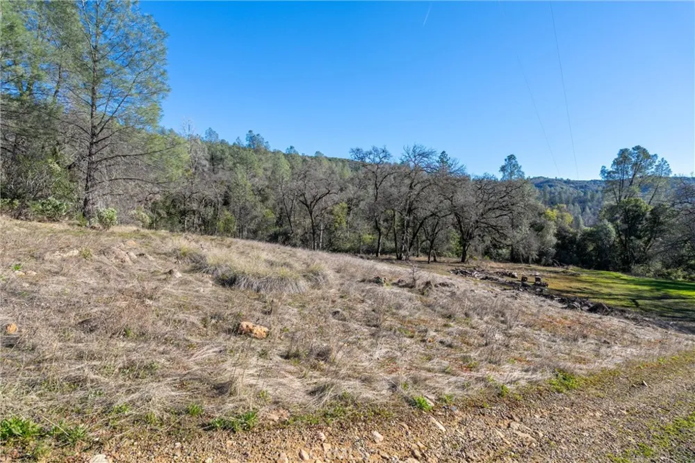 Crown Point Forest Ranch, CA 95942