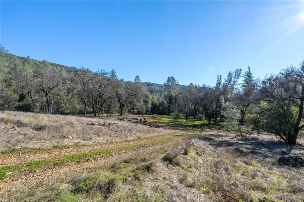 Crown Point Forest Ranch, CA 95942