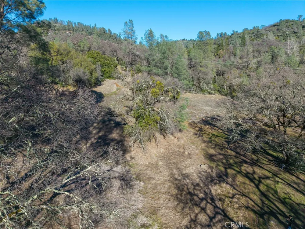 Crown Point Forest Ranch, CA 95942