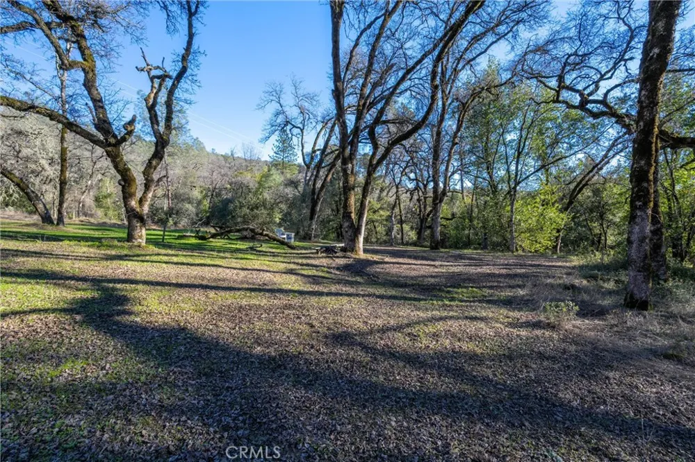 Crown Point Forest Ranch, CA 95942