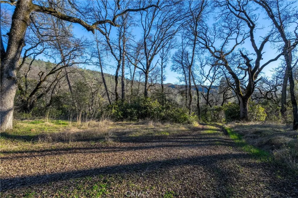 Crown Point Forest Ranch, CA 95942