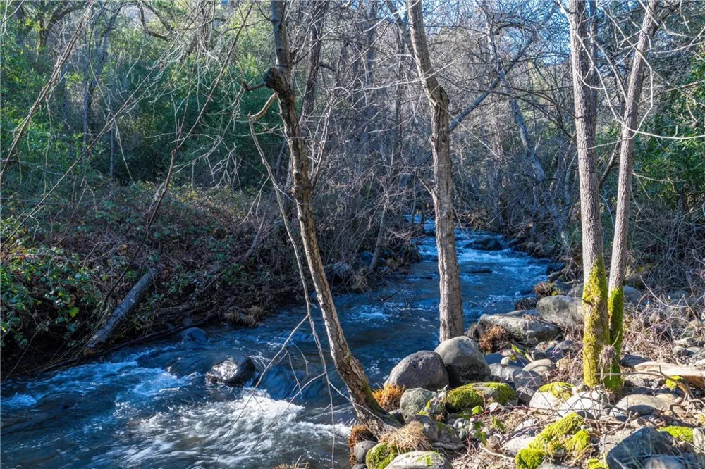 Crown Point Forest Ranch, CA 95942