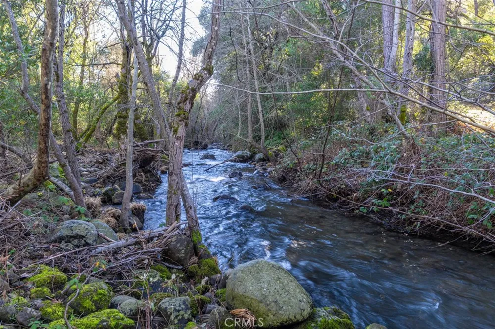 Crown Point Forest Ranch, CA 95942