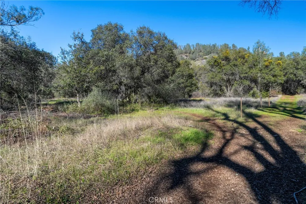 Crown Point Forest Ranch, CA 95942