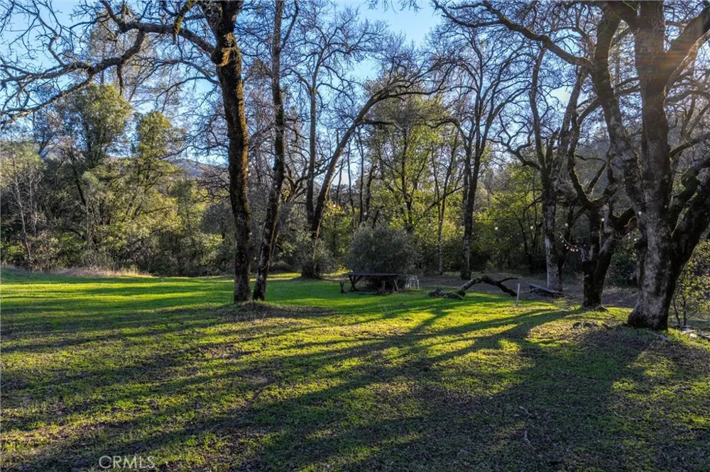 Crown Point Forest Ranch, CA 95942