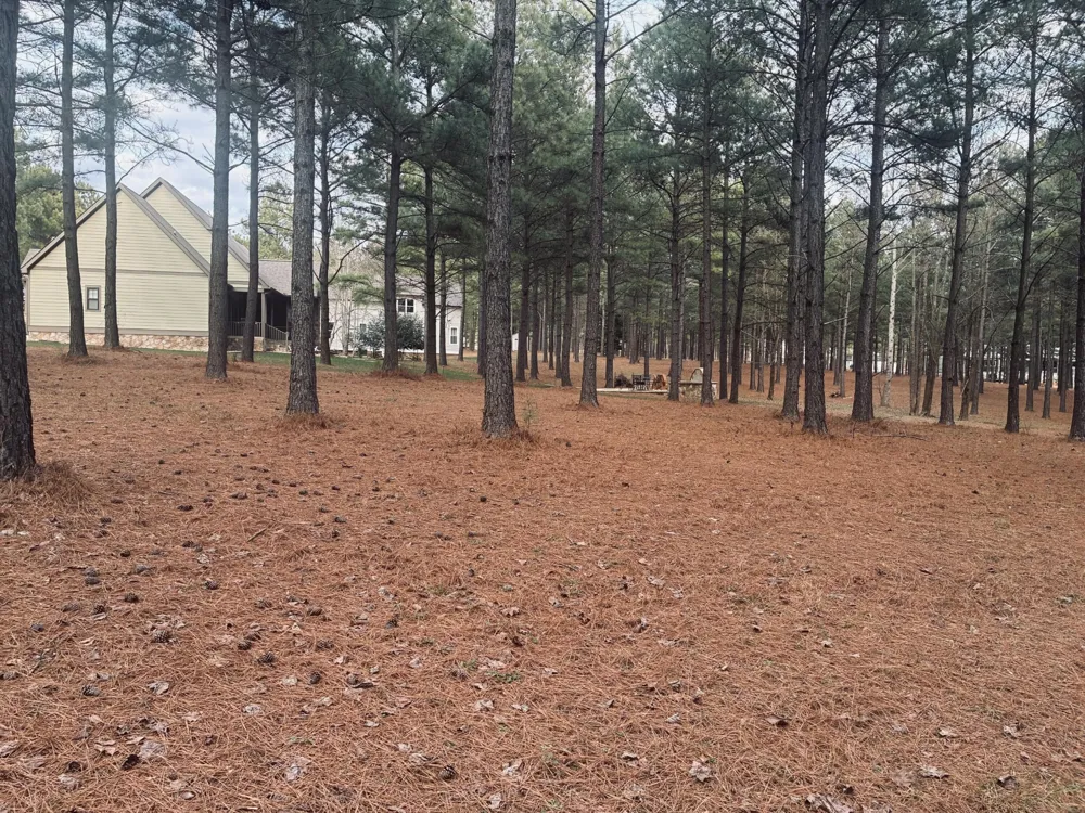 820 Cumberland Circle Jasper, TN 37347