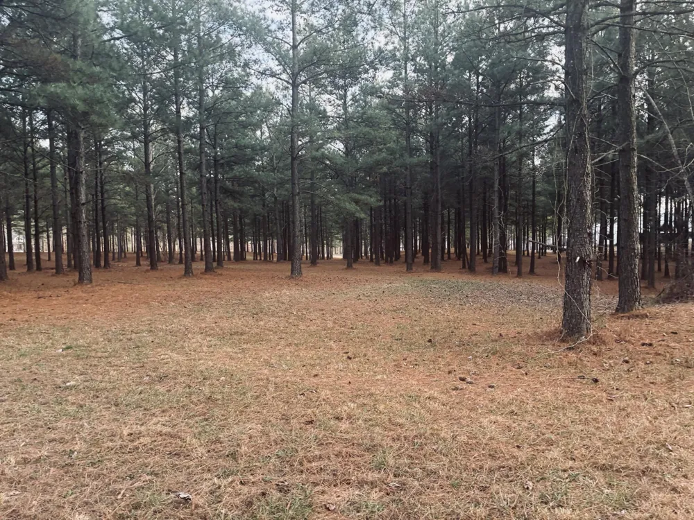 820 Cumberland Circle Jasper, TN 37347
