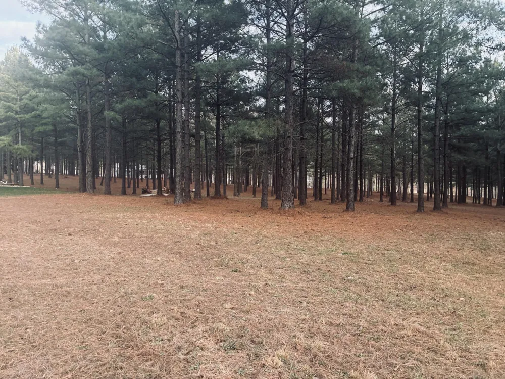 820 Cumberland Circle Jasper, TN 37347