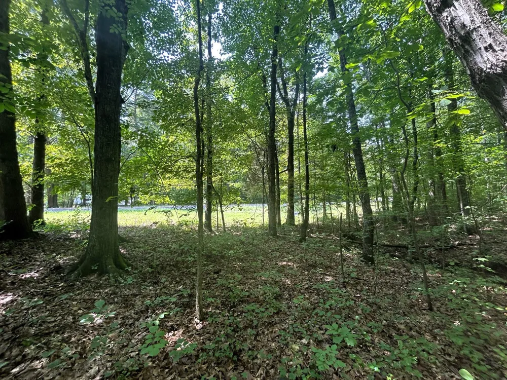 2 Highway 304 Ten Mile, TN 37880
