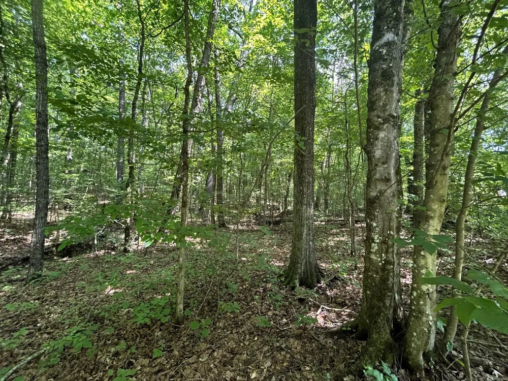 2 Highway 304 Ten Mile, TN 37880