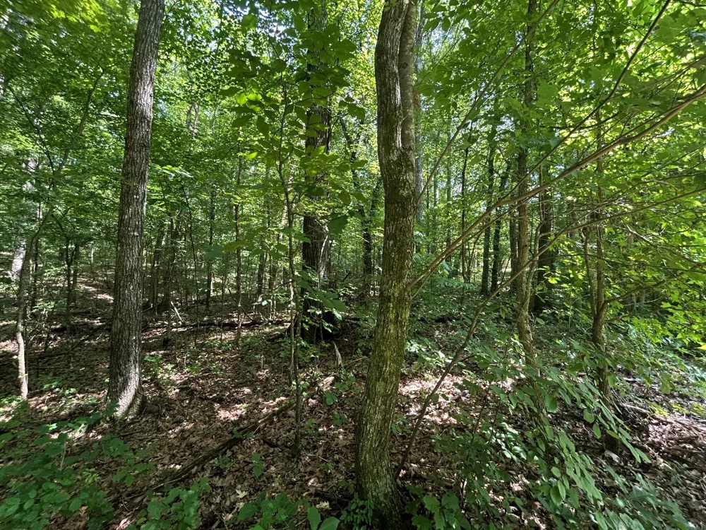 3 Highway 304 Ten Mile, TN 37880