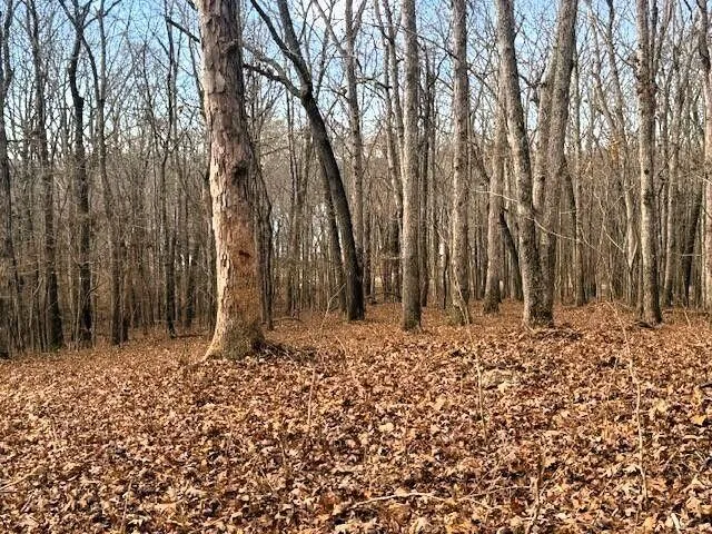 3 Highway 304 Ten Mile, TN 37880