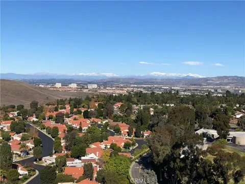 24055 Paseo Del Lago #1303